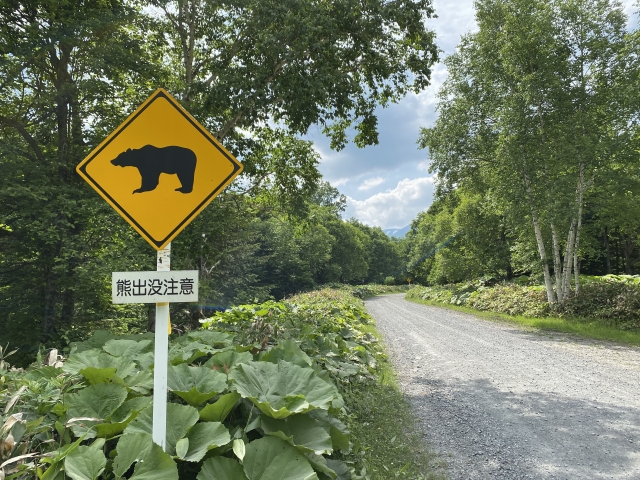 クマ出没注意