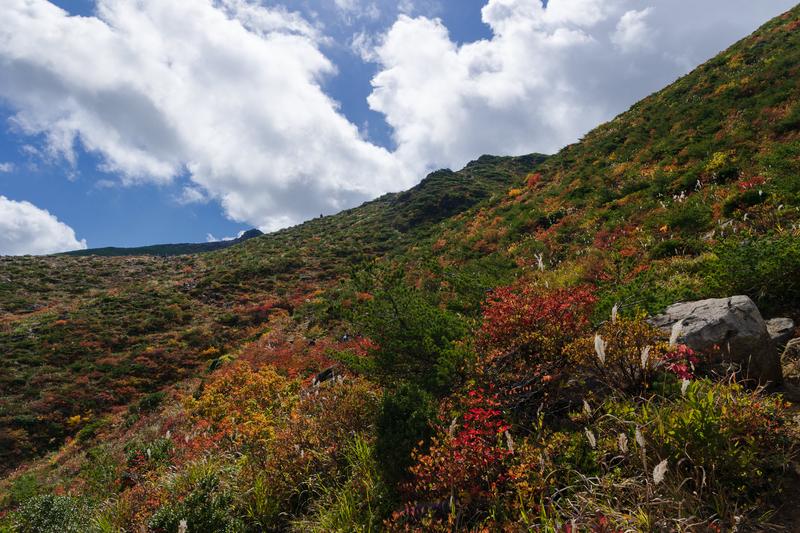 秋の山